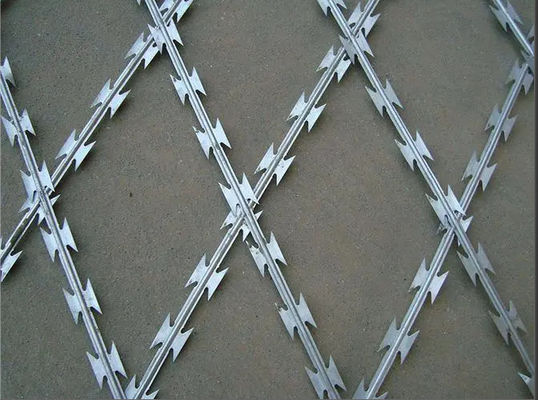 kwaliteit  75mmx150mm Welded Razor Wire Mesh Rot Proof Function fabriek