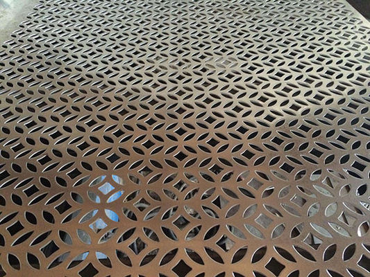 Acid Resistent Decorative Perforated Metal Mesh Screen Roestvrij staal