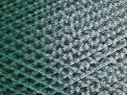 DIN1.4301 Geweld draadnet AISI304 Razor Mesh hek op maat