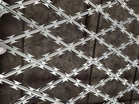 DIN1.4301 Geweld draadnet AISI304 Razor Mesh hek op maat